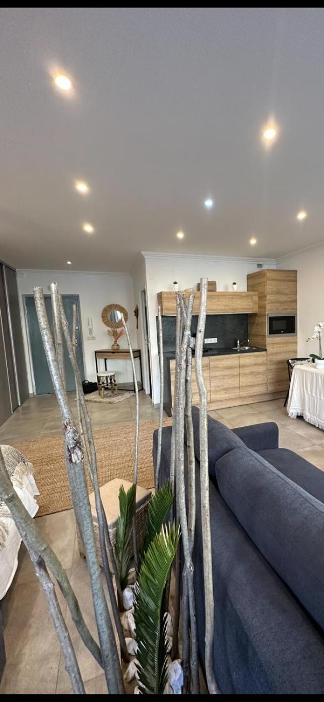 Grand Studio Cosy Cannes Centre Ngoại thất bức ảnh